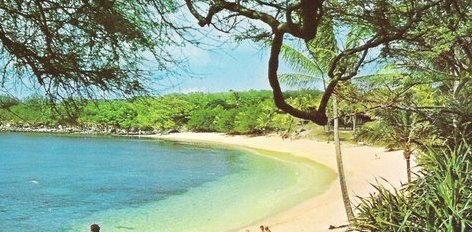 Postcard of a beach
                    on Maui