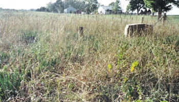 Porter Powell Cemetery